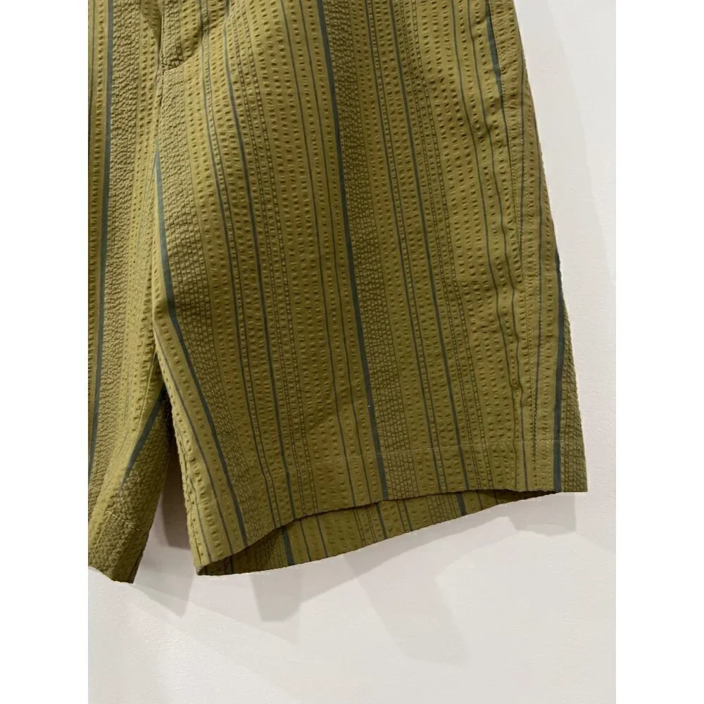 Patagonia Size Men's 30 Organic Cotton Shorts GREEN Stripe